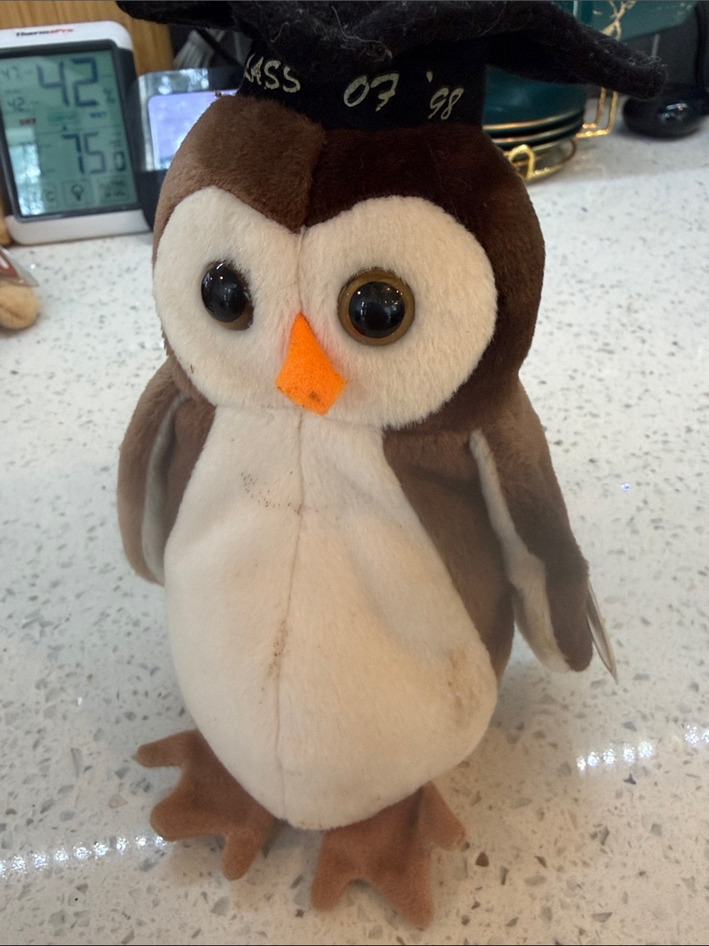 Original class of 1998 beanie baby
